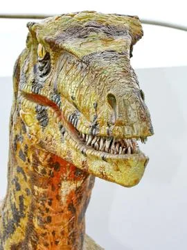 Deinonychus dinosaur Stock Photos
