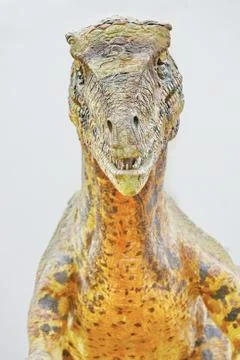 Deinonychus dinosaur Stock Photos