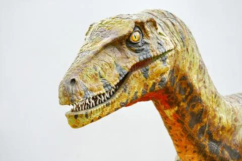 Deinonychus dinosaur Stock Photos