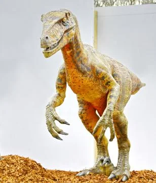 Deinonychus dinosaur Stock Photos