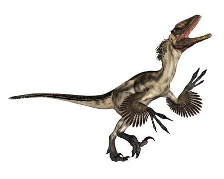 Deinonychus dinosaur roaring - 3D render Stock Illustration