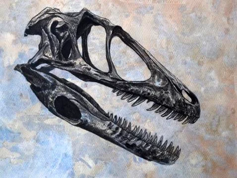 Deinonychus dinosaur skull. Stock Illustration