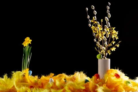 Dekoration with easter eggs and soft colour feathers. Stock Photos