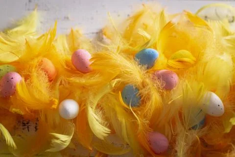 Dekoration with easter eggs and soft colour feathers. Stock Photos