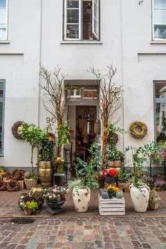 Dekorativer Laden mit vielen Pflanzen in der Fußgängerzone in Lübeck Dekor Stock Photos