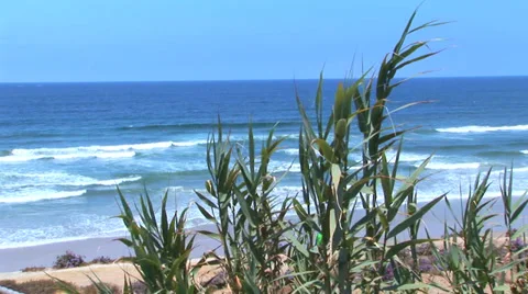 Del Mar Beach Stock Footage 27877494