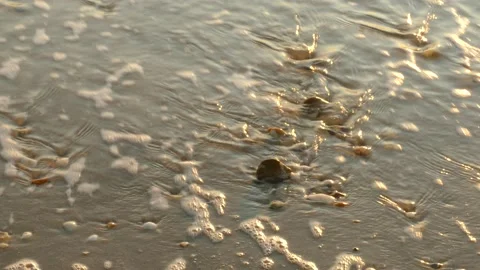 Delaware Bay beach pebbles hit by waves at sunrise; CU, 4K Stock Footage 139018724