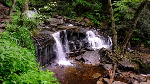 Delaware Falls, Ricketts Glen State Park, Pennsylvania Stock Footage 91597429