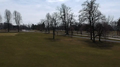 Delaware Park Roadway Stock Footage 88440738