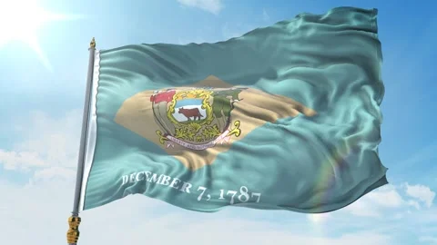 Delaware State Flag 4K Stock Footage 343462188