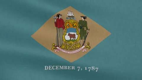Delaware State Flag, Cotton Fabric Stock Footage 299073969