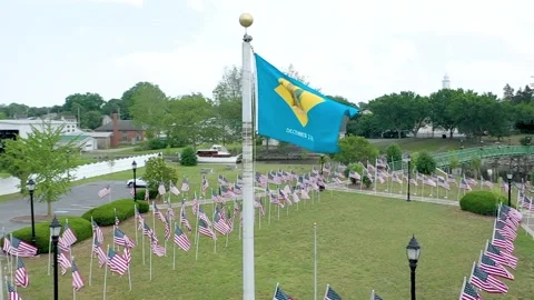 Delaware state flag waving in local park slow with america flags  2.7k 動画素材 196942245