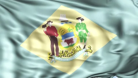Delaware State Waving Flag Background Stock Footage 204138316
