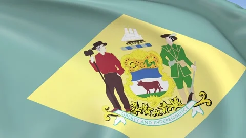 Delaware State Waving Flag Background Loop Stock Footage 317846050