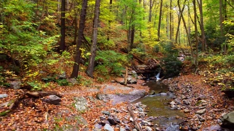 Delaware water Video stock 164506243