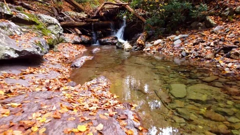 Delaware Water River Video stock 164506244