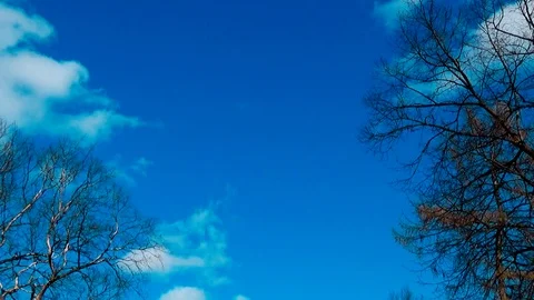 Delayed punch racket in the shuttle when serving in the game badminton Stock Footage 75559355