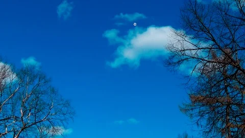 Delayed punch racket in the shuttle when serving in the game badminton Stock Footage 75563885