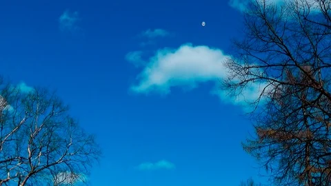 Delayed punch racket in the shuttle when serving in the game badminton Stock Footage 75563888