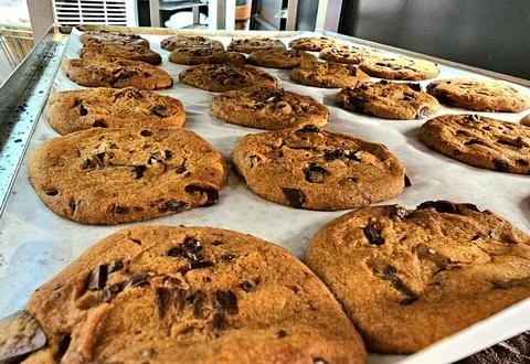 A delectable array of golden-brown chocolate chip cookies, fresh Stock Photos