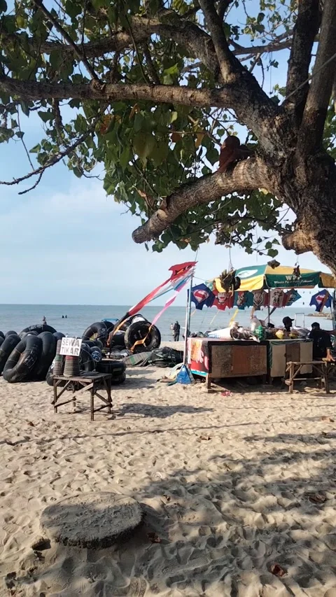 DELEGAN BEACH Stock Footage 246063722