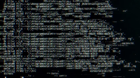 Deleting Important Files Vídeos de archivo 71816499