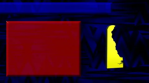 Deleware - Election Motion Background Stock Footage 78431