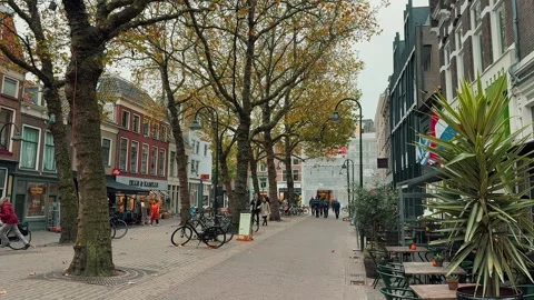 Delft Streets 1 (Editorial) Stock Footage 320641752
