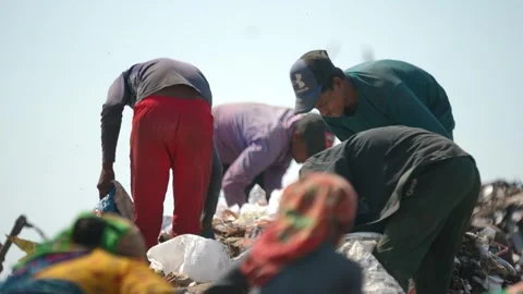 Delhi's Land fill Video stock 248055989