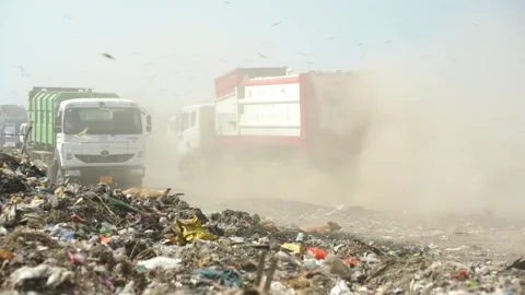 Delhi's Land fill Video stock 248056019