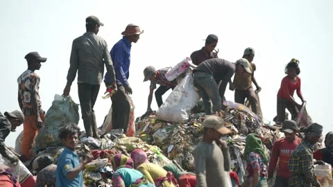 Delhi's Land fill 動画素材 248056256