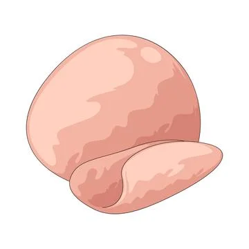 Deli meat illustration Stock Illustration