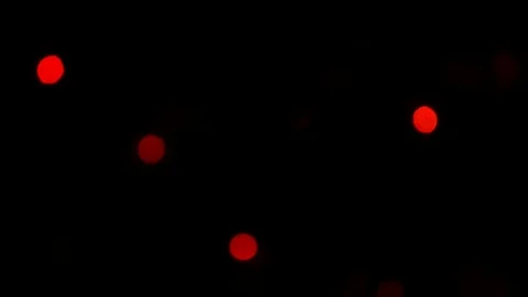 Deliberately blurred Christmas  Stock Footage 82497564