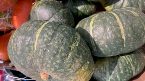 Delica pumpkin Stock Footage 286038654