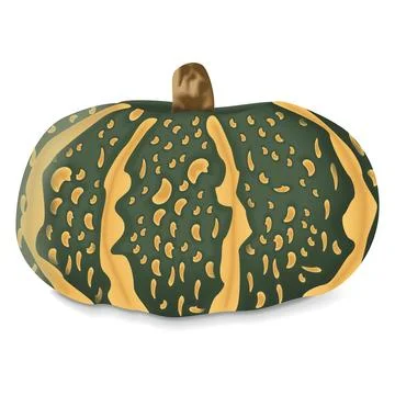 Delica Winter Squash 스톡 일러스트