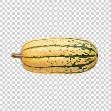 Delicata squash striped pattern isolated on transparent background for cookin Fotos Stock