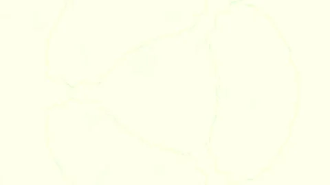 Delicate abstract continuous line art flow pattern on blush pink backdrop Stock Footage 336266531