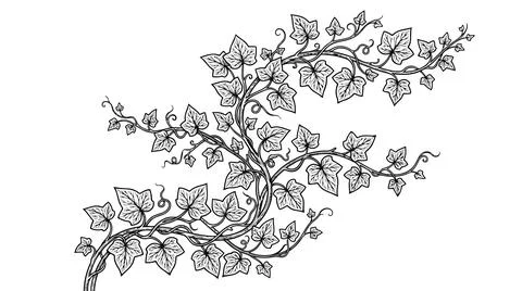 Delicate abstract vine pattern design Stock Illustration
