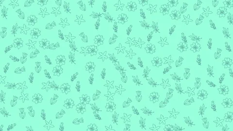 Delicate animated floral and leaf outline pattern on a soft mint green back.. Stock Footage 342473295