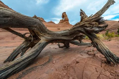 Delicate arch - desert landscape Stock Photos