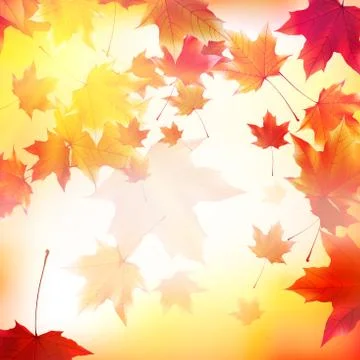 Delicate autumn sun with glare on gold sky. Stock Illustration