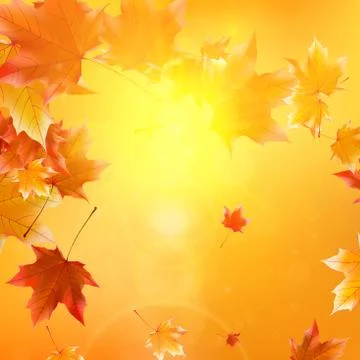 Delicate autumn sun with glare on gold sky. Stock Illustration