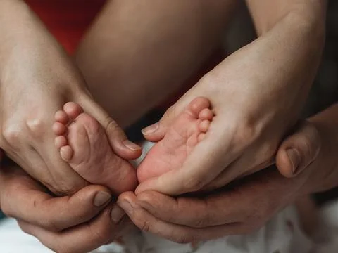 A Delicate Beginning Foto stock