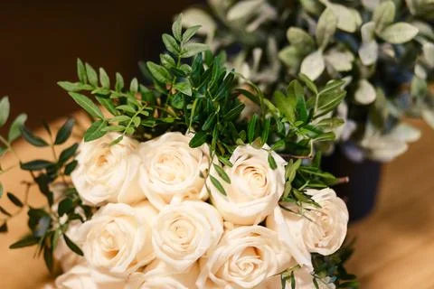 Delicate beige rose Stock Photos