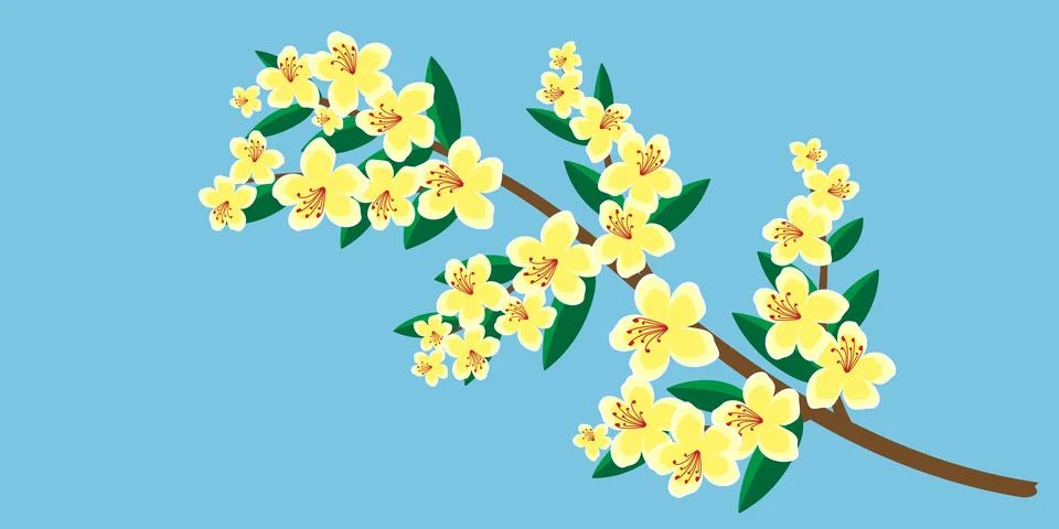 Delicate bloom cherry blossoms with soft yellow petals, creating a dreamy s.. Stock Illustration