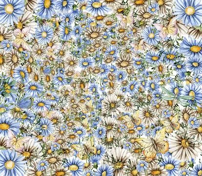 Delicate blue and white chamomile. Horizontal board, watercolor illustratio.. Stock Illustration