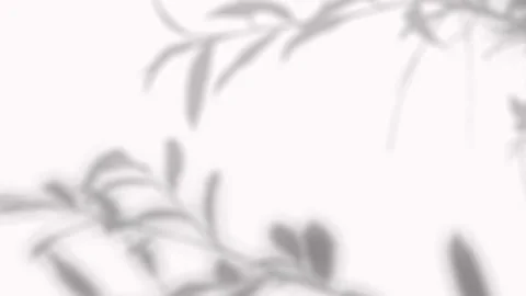 Delicate blurred shadow of trailing willow branch foliage on white background 動画素材 346907372