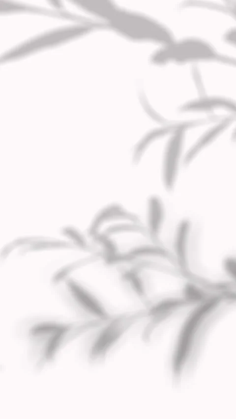 Delicate blurred shadow of trailing willow branch foliage on white background Vídeos de archivo 346907380