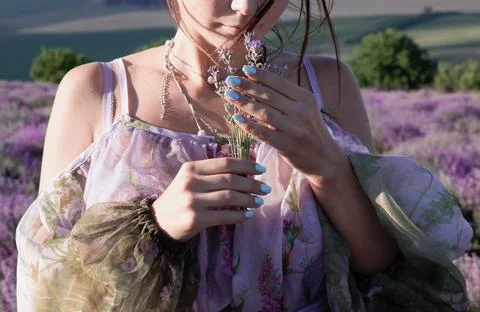 Delicate bouquet of lavender Stock Photos