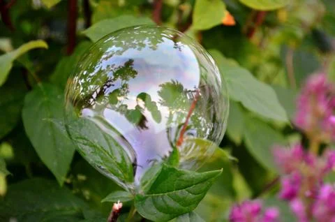 Delicate bubble on a green leaf Stock Photos